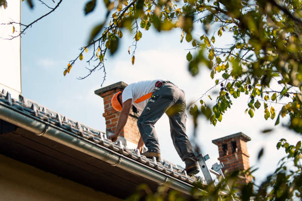 Best Roof Maintenance Services  in Darien, WI