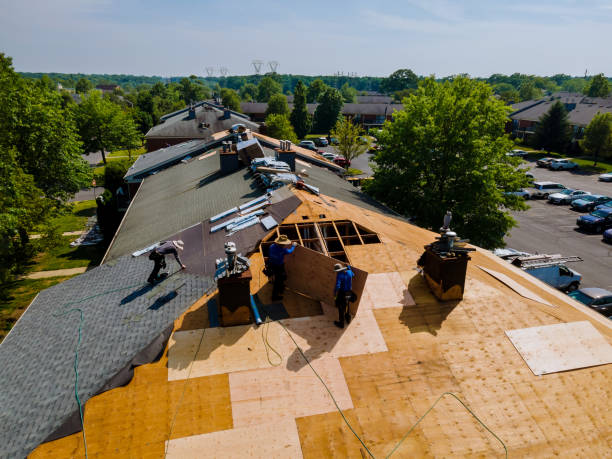 Best Storm Damage Roof Repair  in Darien, WI