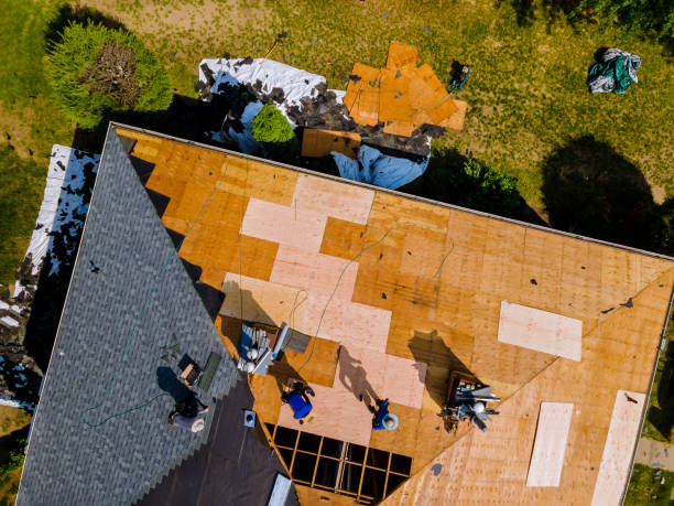 Best Roof Leak Repair  in Darien, WI