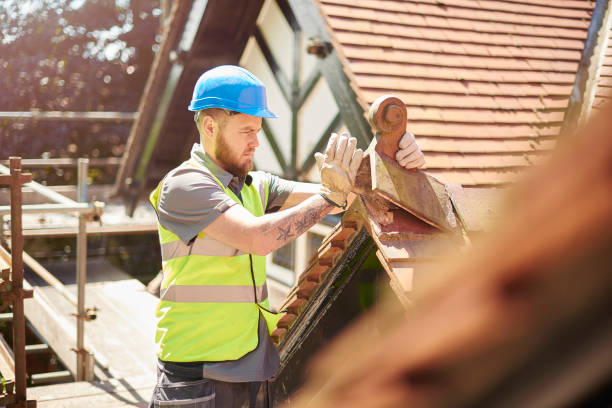 Best Flat Roof Repair Services  in Darien, WI