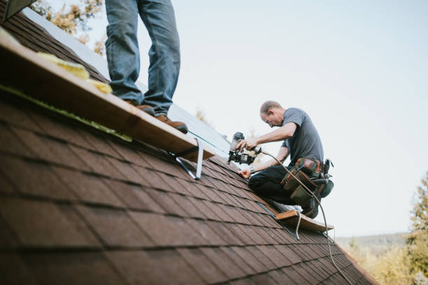 Best Flat Roof Repair Services  in Darien, WI