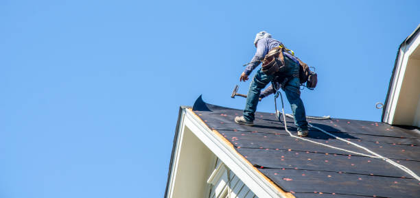 Best Shingle Roofing Installation  in Darien, WI